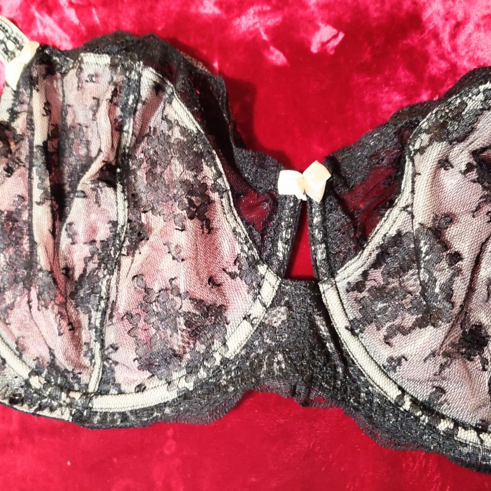 Felina "Captivate" black lace bra NWT Size 38G